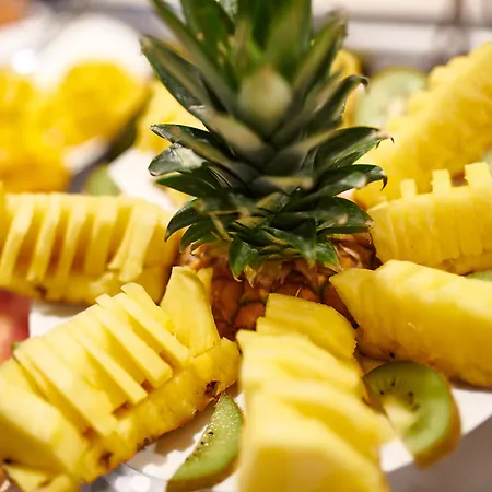 Hotel Atlanthal Anglet